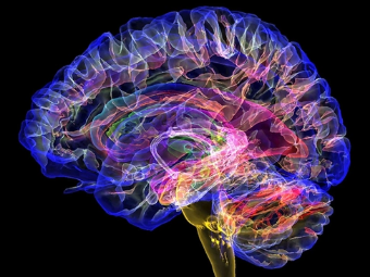 激情草b大脑植入物有助于严重头部损伤恢复
